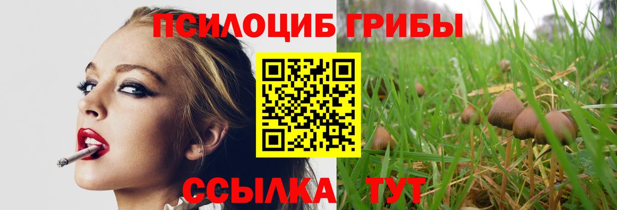 Псилоцибиновые грибы Cubensis  Вход с VPN  Добрянка 
